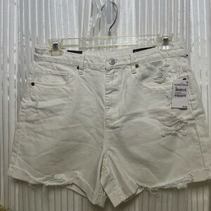 “The Perry” Shorts by “BlankNYC” SZ (31) white distressed throughout NWT